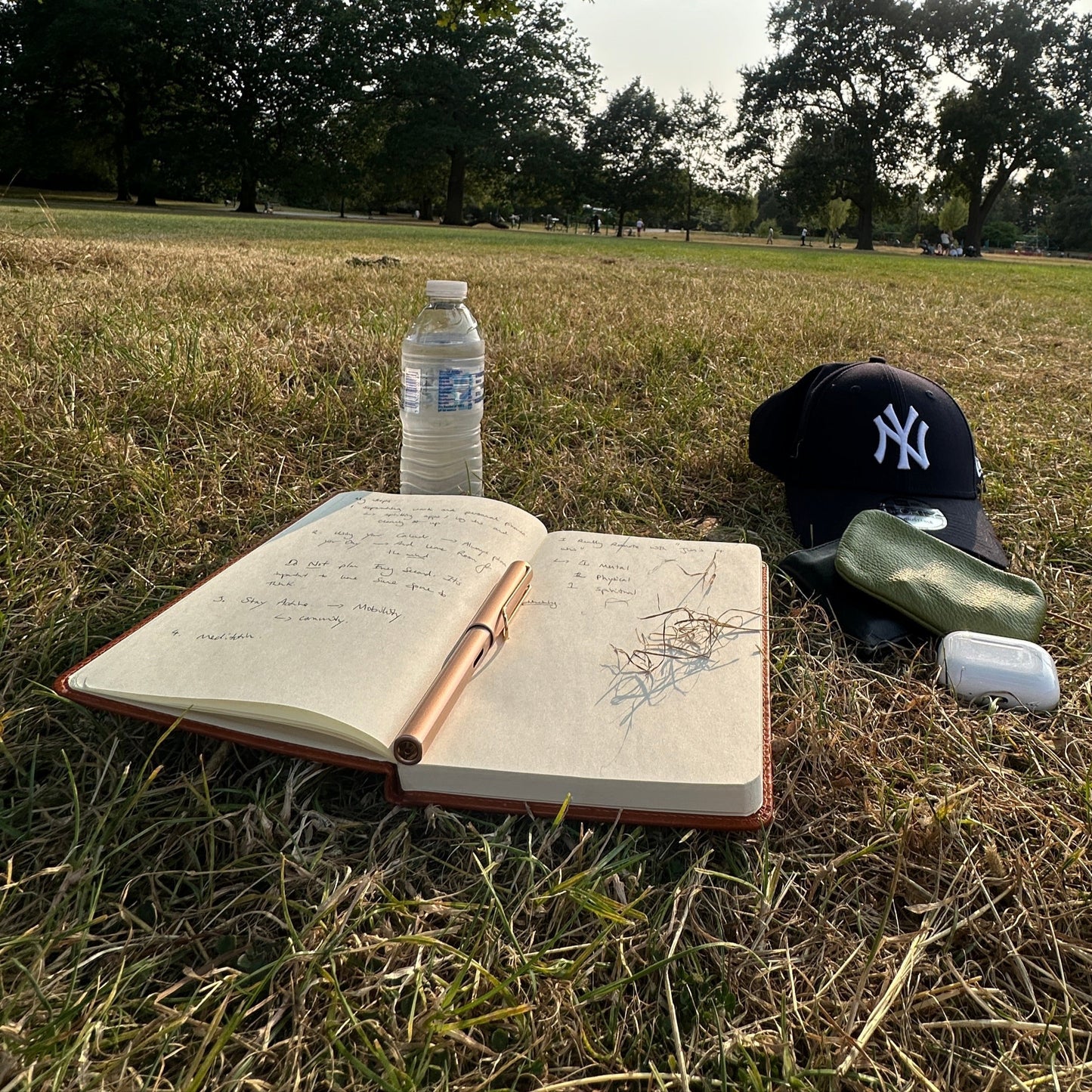 The Dream Journal