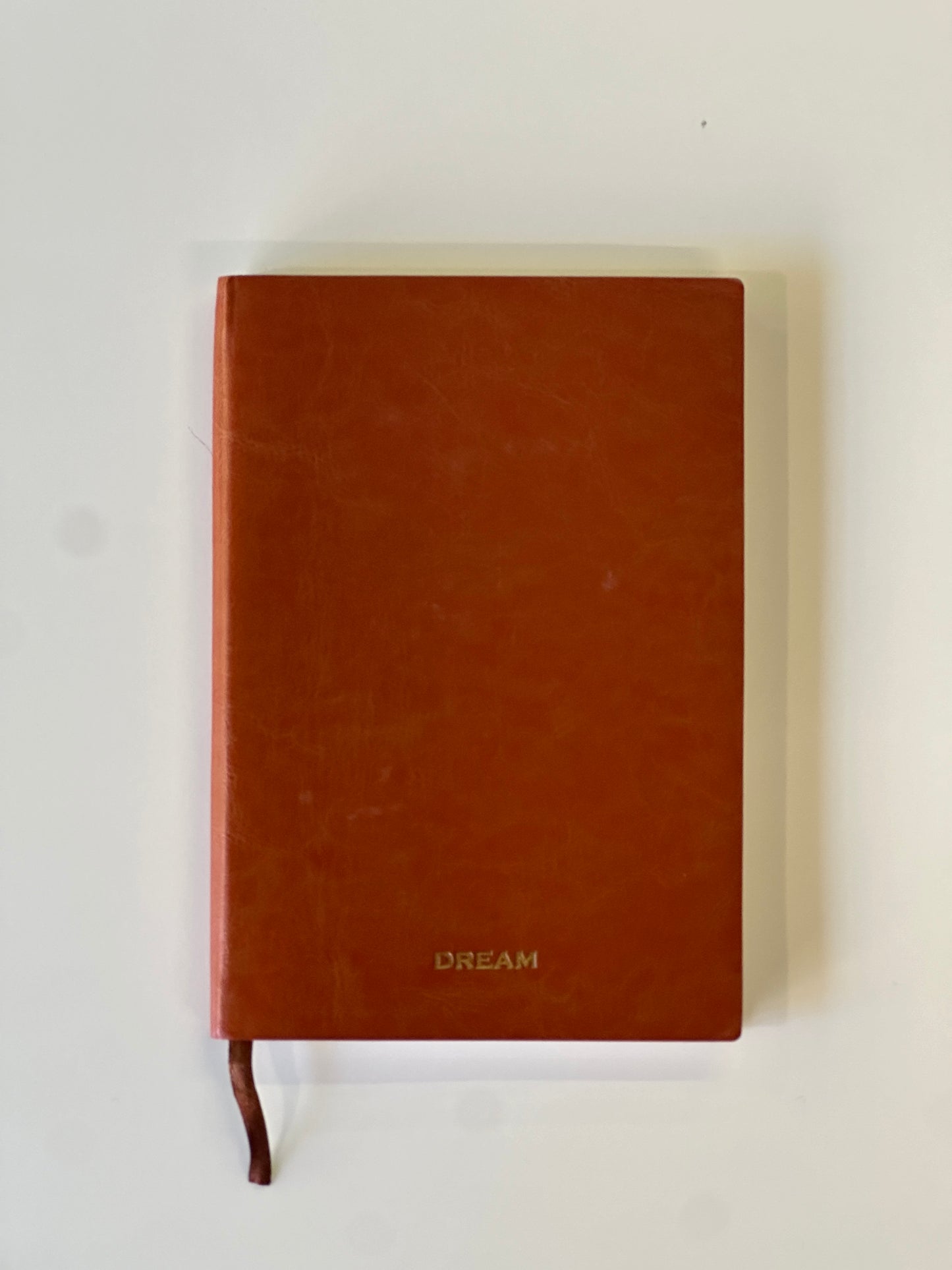 The Dream Journal